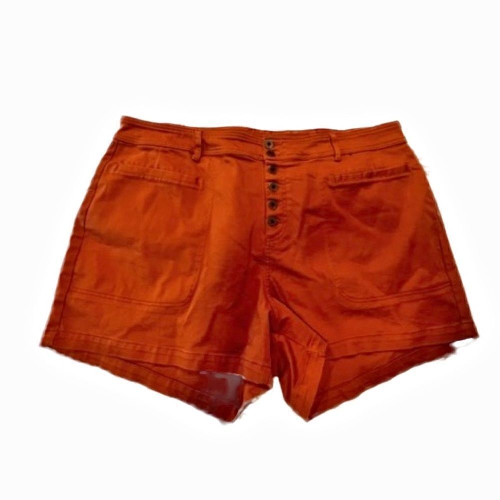 Ava & Viv High Rise Midi shorts 24W